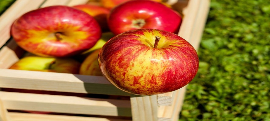 درآمد یک و نیم میلیارد دلاری کشور از صادرات سیب  و گلابی 